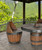 Barrel Chair Close Up Image